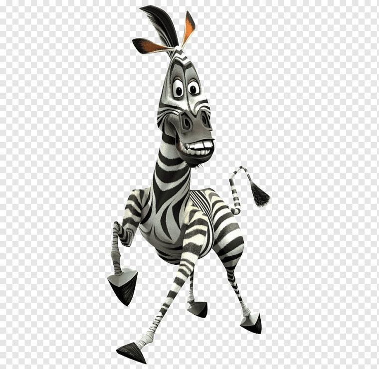 Marty Madagascar Film Charakter Desktop, Zebra, Tierfigur pour Madagascar Zebre