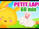 Mon Petit Lapin - 60 Min De Comptines Pour Les Bébés Et Les Maternelles dedans Chanson Enfant Lapin