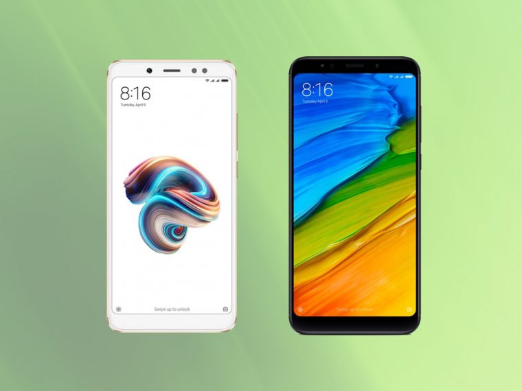 Ne Vous Trompez Plus : Voici Les Différences Entre Les destiné Les 5 Differences