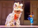 Nouvel An Chinois À Orléans - Spectacle Culturel tout Spectacle Danse Chinoise