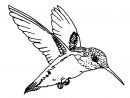 Oiseau En Vol - Coloriage D'oiseaux - Coloriages Pour Enfants à Vol Petit Oiseau