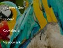 Oiseau Sons Gratuit Pour Android - Téléchargez L'apk serapportantà Images D Oiseaux Gratuites