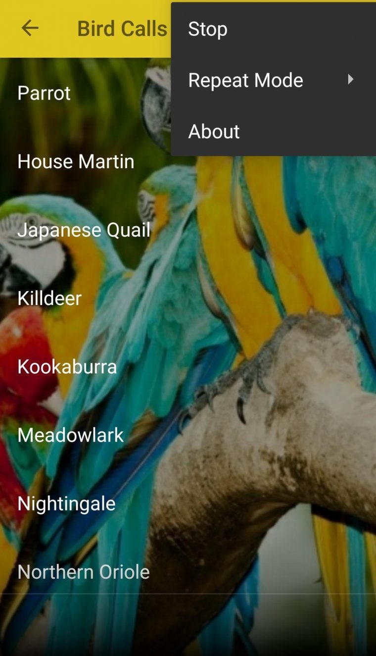 Oiseau Sons Gratuit Pour Android – Téléchargez L'apk serapportantà Images D Oiseaux Gratuites