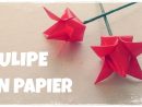 Origami Facile - Comment Faire Une Tulipe En Papier destiné Origami Rose Facile A Faire