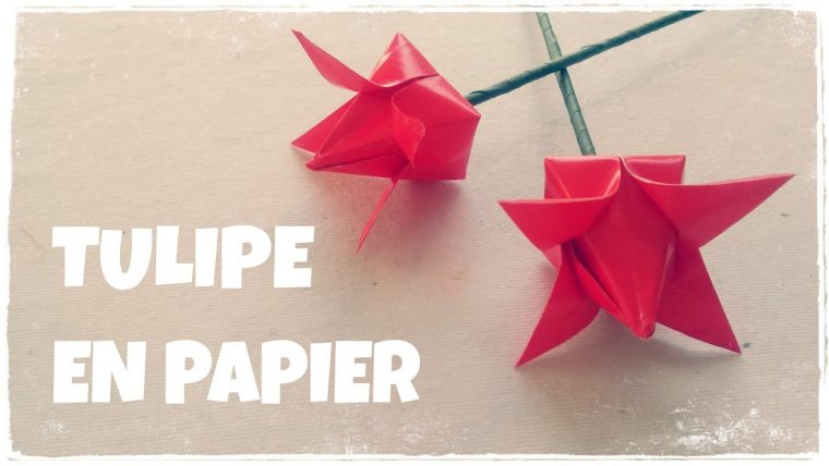 Origami Facile – Comment Faire Une Tulipe En Papier destiné Origami Rose Facile A Faire