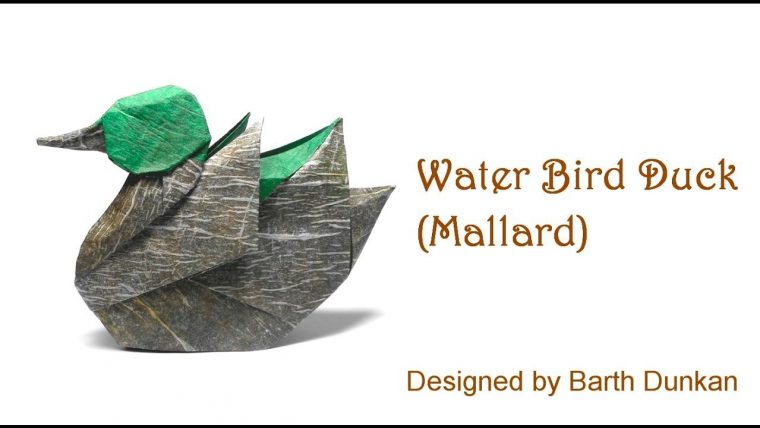 Origami Water Bird Duck – Mallard Tutorial (Barth Dunkan intérieur Origami Canard