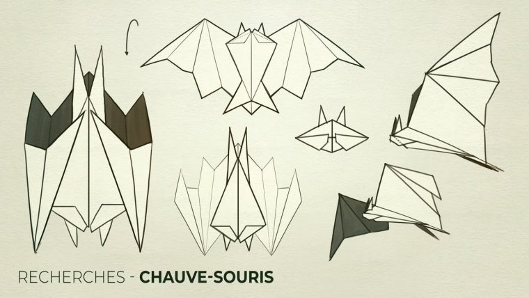 Otterways On Twitter: "we Need Your Opinion About encequiconcerne Origami Chauve Souris