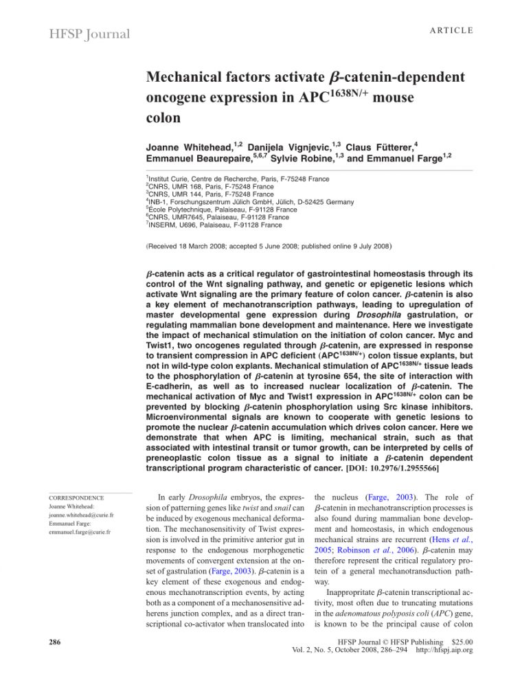 Pdf) Mechanical Factors Activate Beta-Catenin-Dependent destiné Police Script Ecole