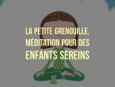 Petite Grenouille : La Méditation Pour Des Enfants Sereins avec La Grenouille Meditation