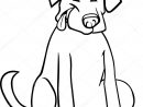 Picture: Labrador Cartoon | Labrador Retriever Cartoon For tout Coloriage Labrador