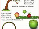Poésie D'automne | Comptine Automne, Comptines Et La Pomme pour Comptine Automne Maternelle