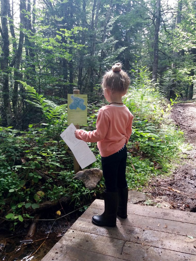 Praboure-Parc-Activite-Montagne-Chasse-Au-Tresor – Prabouré intérieur Activité Chasse Au Trésor Praboure-Parc-Activite-Montagne-Chasse-Au-Tresor – Prabouré intérieur Activité Chasse Au Trésor