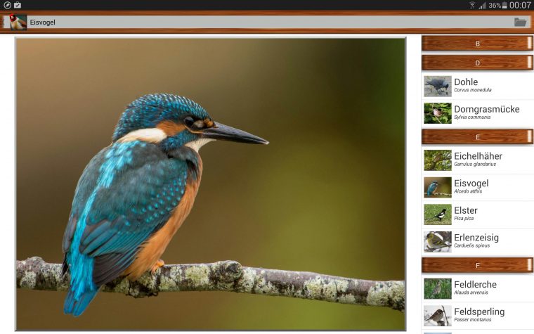 Quiz Sur Les Oiseaux Gratuit Pour Android – Téléchargez L'apk tout Images D Oiseaux Gratuites