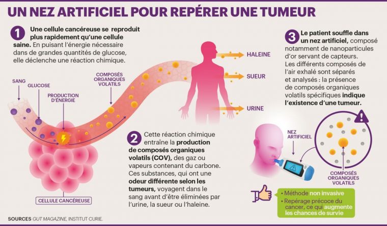 Santé : Détecter Le Cancer À L'odeur – Le Parisien serapportantà Odeur Dans Le Nez