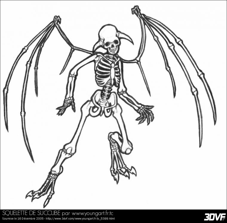 Squelette #18 (Personnages) – Coloriages À Imprimer destiné Squelette A Imprimer
