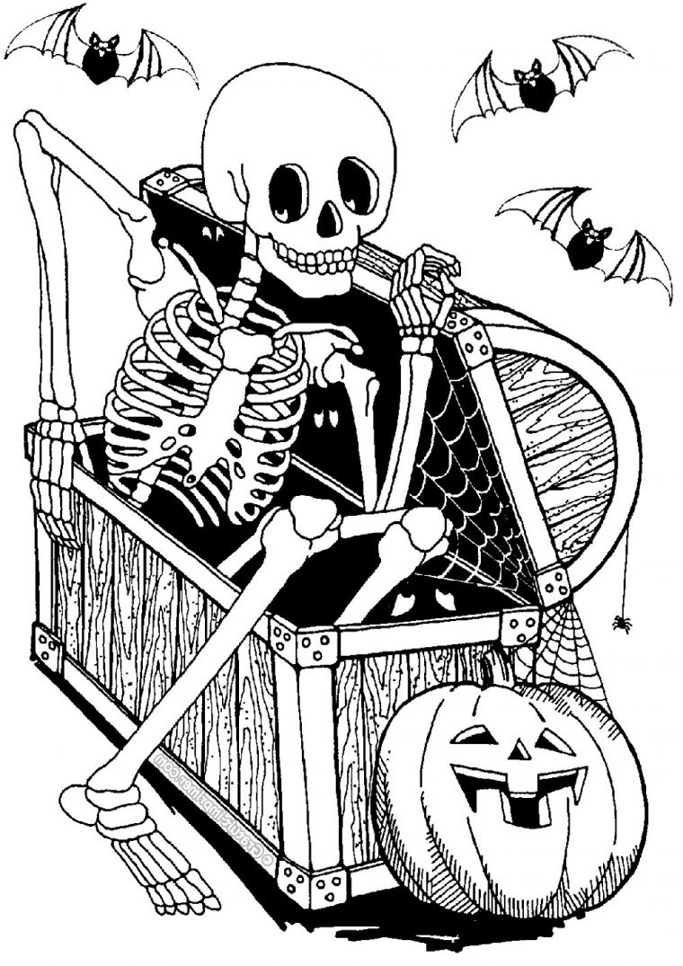 Squelette Dans Coffre – Halloween – Coloriages Difficiles avec Squelette A Imprimer