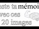Test De Mémoire : 20 Images Pour Tester Sa Mémoire tout Jeux De Mémoire Visuelle À Imprimer