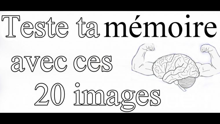 Test De Mémoire : 20 Images Pour Tester Sa Mémoire tout Jeux De Mémoire Visuelle À Imprimer
