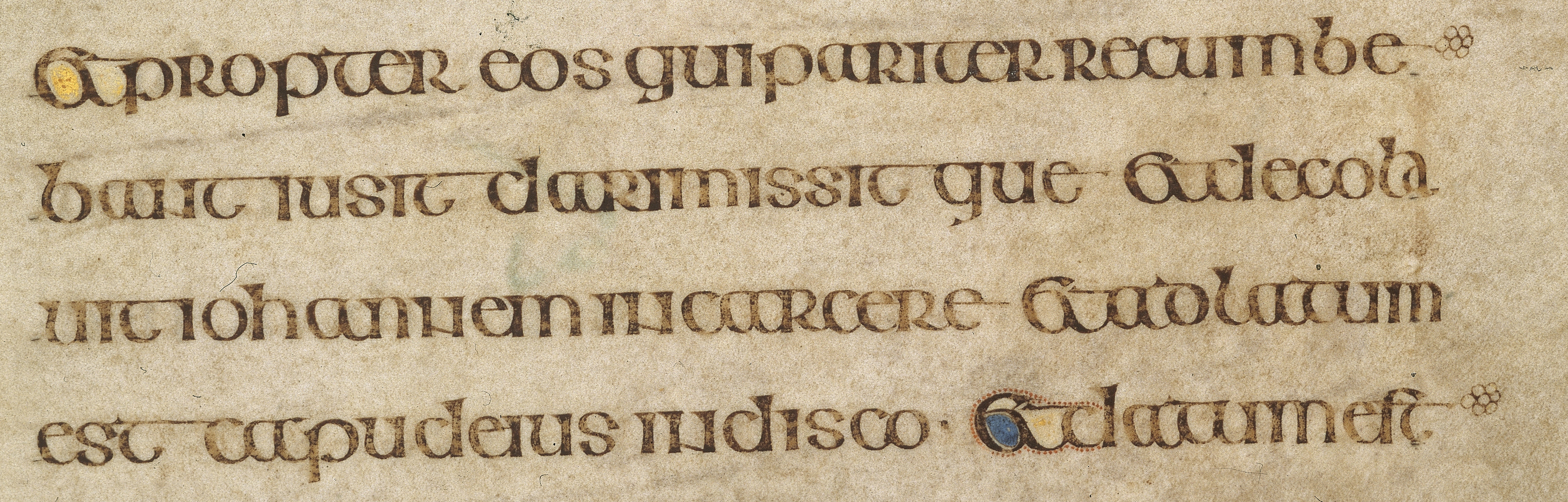 The Script In The Book Of Kells - The Book Of Kells destiné Majuscule Script