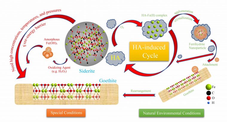 Transformation Of Siderite To Goethite By Humic Acid In The pour Musique Cycle 2