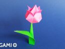 Tulipe En Origami tout Origami Rose Facile A Faire