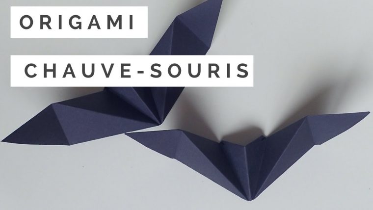 Tuto Origami Chauve Souris encequiconcerne Origami Chauve Souris