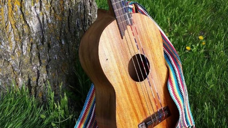 Un Musicien Winnipégois Se Fait Voler Sa Guitare Mexicaine encequiconcerne Musicien Mexicain