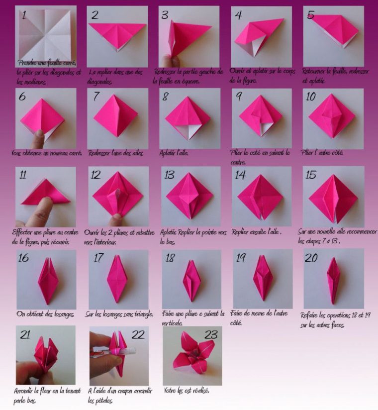 Visuel Origami Fleur De Lys | Origami Fleur De Lys avec Origami Rose Facile A Faire