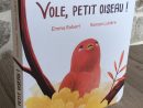 Vole, Petit Oiseau ! - Romain Lubière Illustration encequiconcerne Vol Petit Oiseau