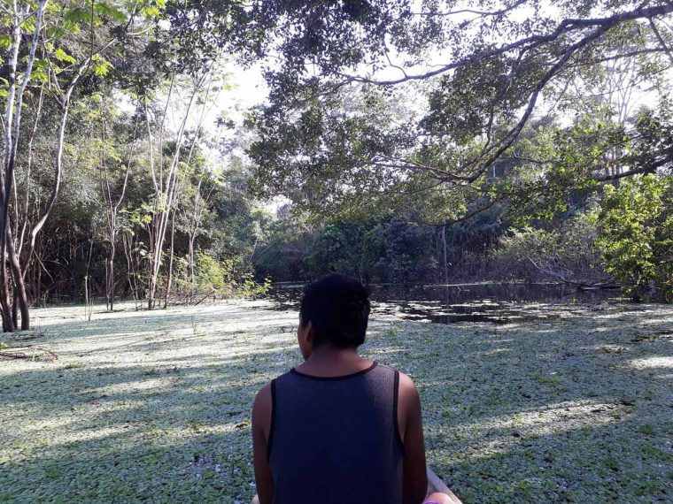 Voyage En Amazonie Péruvienne – Globe Cro'coeur serapportantà Dauphin Amazonie