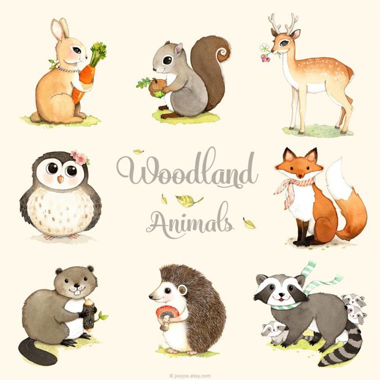 Woodland-Tiere Zu Drucken Satz Wald Waldtiere Woodland Von destiné Image D Animaux De La Foret