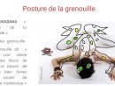 Yoganimaux - La Posture De La Grenouille - pour La Grenouille Meditation