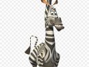 Zebra Cartoon Png Download - 600*900 - Free Transparent à Madagascar Zebre
