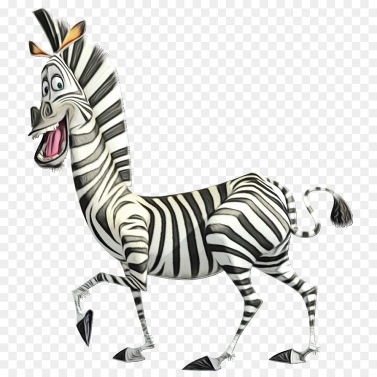 Zebra Cartoon Png Download – 960*960 – Free Transparent dedans Madagascar Zebre