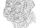 Zentangle Cute Dog. Hand Drawn Sketch For Adult And Children encequiconcerne Coloriage Labrador
