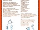Claude Nougaro | Le Chat Dans Tous Ses États - Gatos avec Paroles 3 Petits Chats