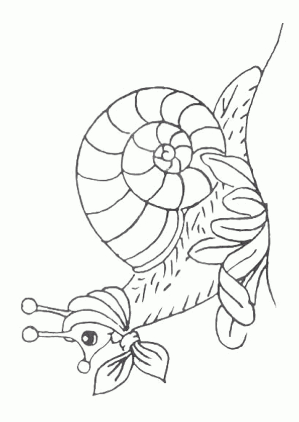 Coloriage Escargot Sur Hugolescargot dedans Coloriage Hugo Lescargot Mandala