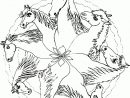 Coloriage Mandala Cheval Sur Hugolescargot destiné Dessin De Cheval À Imprimer