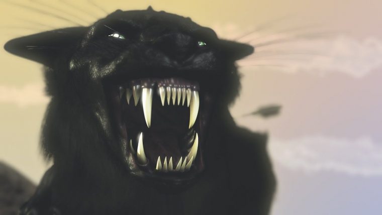 Conte De Savoie – La Légende De La Dent Du Chat (Avec serapportantà Paroles 3 Petits Chats