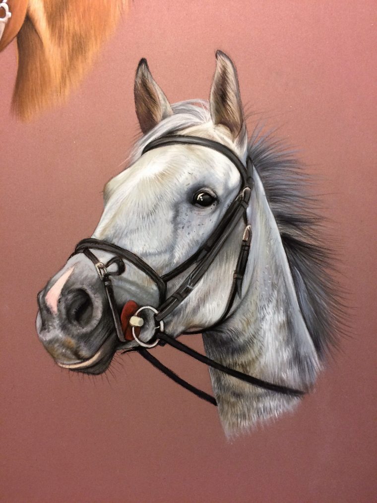 Dessin Animalier, Portrait De Cheval Au Pastel, Détail D concernant Dessin De Cheval À Imprimer