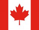 Image Vectorielle Gratuite: Drapeau, Canada, Feuille D avec Feuille D Érable Dessin