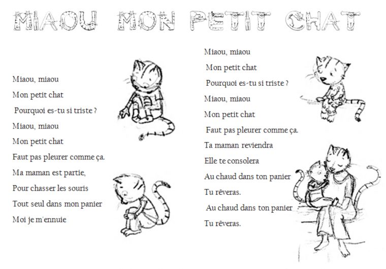 Miaou Mon Petit Chat – Ecole Sainte Marie De Cossé Le Vivien destiné Paroles 3 Petits Chats