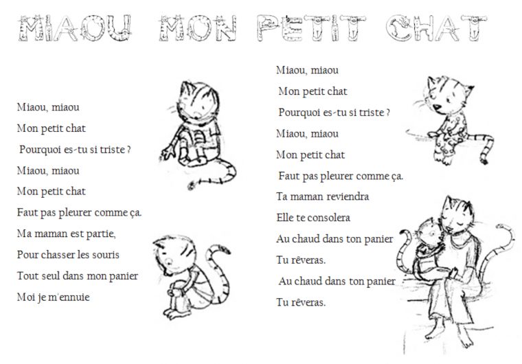 Miaou Mon Petit Chat – Ecole Sainte Marie De Cossé Le Vivien destiné Paroles 3 Petits Chats