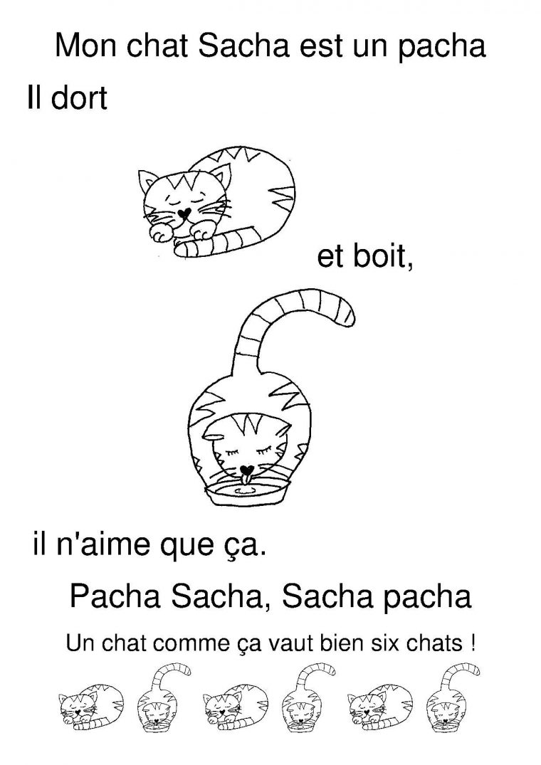Mon Chat Sacha | Chat Maternelle, 3 Petit Chat Et Comptines dedans Paroles 3 Petits Chats