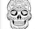 Réaliser Un Dessin De Crâne Mexicain - Dessindigo pour Crane Mexicain Dessin