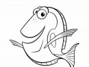 100 Dessins De Coloriage Nemo À Imprimer Sur Laguerche serapportantà Coloriage Nemo A Imprimer Gratuit