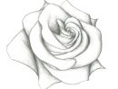1001 + Modèles Et Conseils Pour Apprendre Comment Dessiner à Dessin De Rose A Imprimer