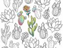 1001 + Pages De Coloriage Anti-Stress Pour Garder L'Esprit encequiconcerne Coloriage Cactus A Imprimer