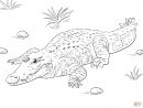 106 Dessins De Coloriage Crocodile À Imprimer Sur dedans Crocodile À Colorier