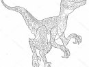 11 Beau De Raptor Dessin Collection - Coloriage : Coloriage concernant Coloriage Dinosaure Raptor